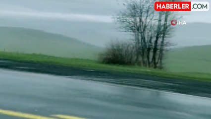 Ardahan'ın yüksek kesimlerinde kar ve sis etkili oldu