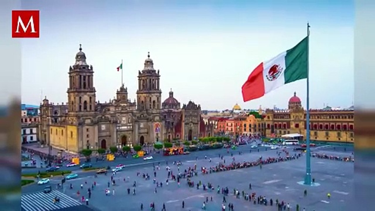 Ricardo Salinas Pliego da refugio a animalitos de la calle en tiendas Elektra