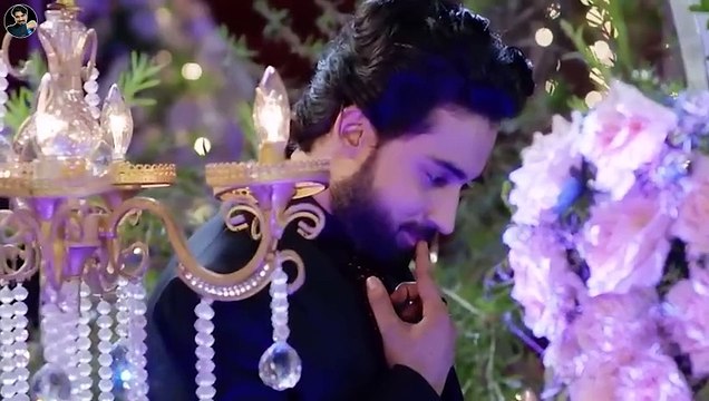 Top 5 Best On-Screen Pakistani Dramas Couple 2024 By MR NOMAN ALEEM