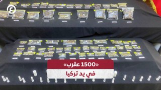 «1500 عقرب» في يد تركيا