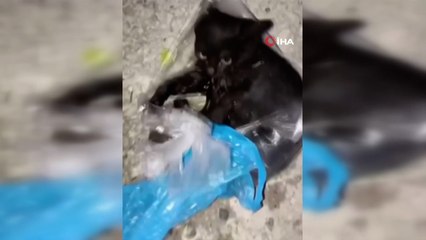 Vicdansızlığa rağmen şefkat ile hayata tutundu