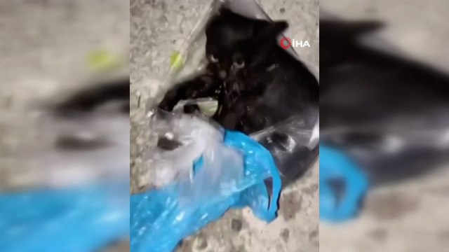 Vicdansızlığa rağmen şefkat ile hayata tutundu