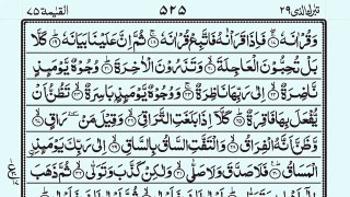 Surah Al Qiyamah 75 _ اَلْقِيَامَة _ Tilawat E Quran
