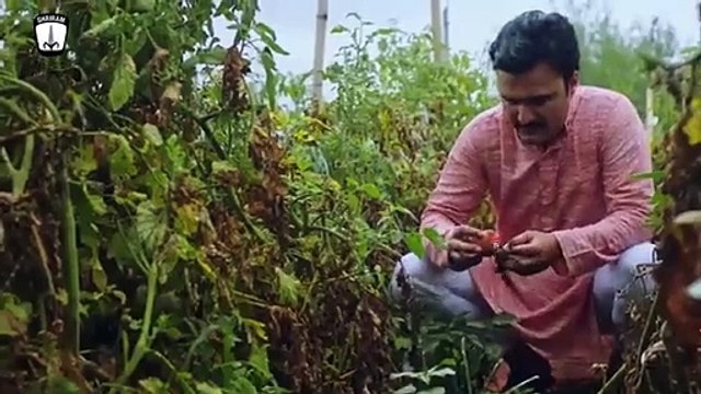 Leading the Way: Shriram Farm Solutions' Agricultural Innovations