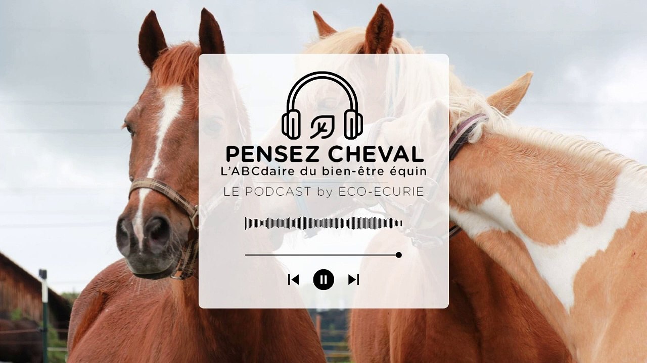 Épisode 10 : Anne WILLEMS - Écurie active ALPHA PELIPA