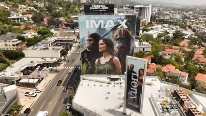 Kingdom Of The Planet Of The Apes | Featurette: Global Phenomenon
