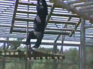 What's New at Primarily Primates Fall 2007