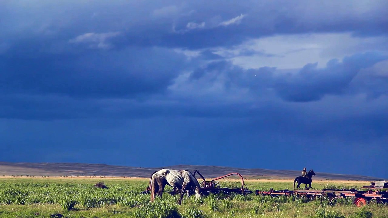 The culture and art of the ancient tribes of Siberia
