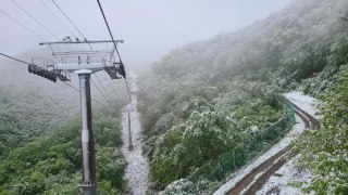 강원 북부 산간 많은 눈 내려...산나물 냉해 잇따라 / YTN