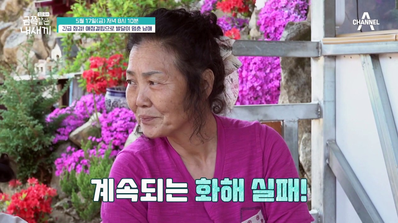 [선공개] 제대로 읽지 못하는 금쪽이 오빠! 새로운 문제 발견! 금쪽이 오빠에게도 어...
