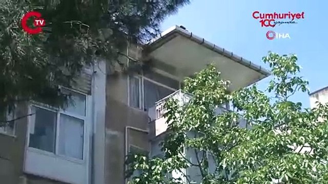 İstanbul'da vicdanları sızlatan olay: 'Sokak köpeklerini eve kapattı' iddiası