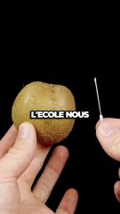 Des phénomènes étranges dont tu n'as jamais entendu parler (55) ‍♂️