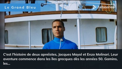 Jean-Marc Barr (FR)