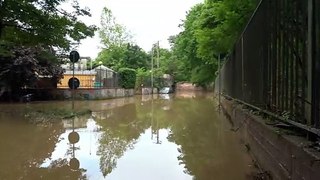 Auto ancora sommerse dall'acqua a Monza