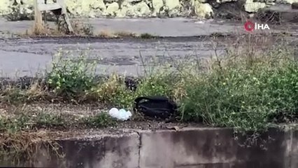 Derede mahsur kalan kediyi kurtaran öğrenci bu kez kendi mahsur kaldı