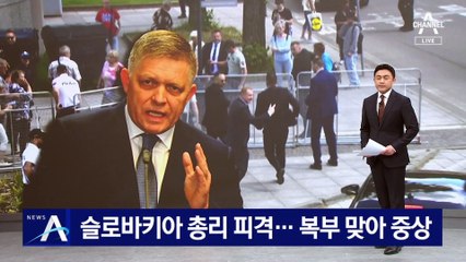 슬로바키아 총리 피격…복부 맞아 중상