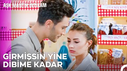 Kuyruk Gibi Peşimdesin Ozan - Aşk Mantık İntikam