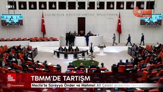 Meclis'te Süreyya Önder ve Mehmet Ali Çelebi arasında tartışma çıktı