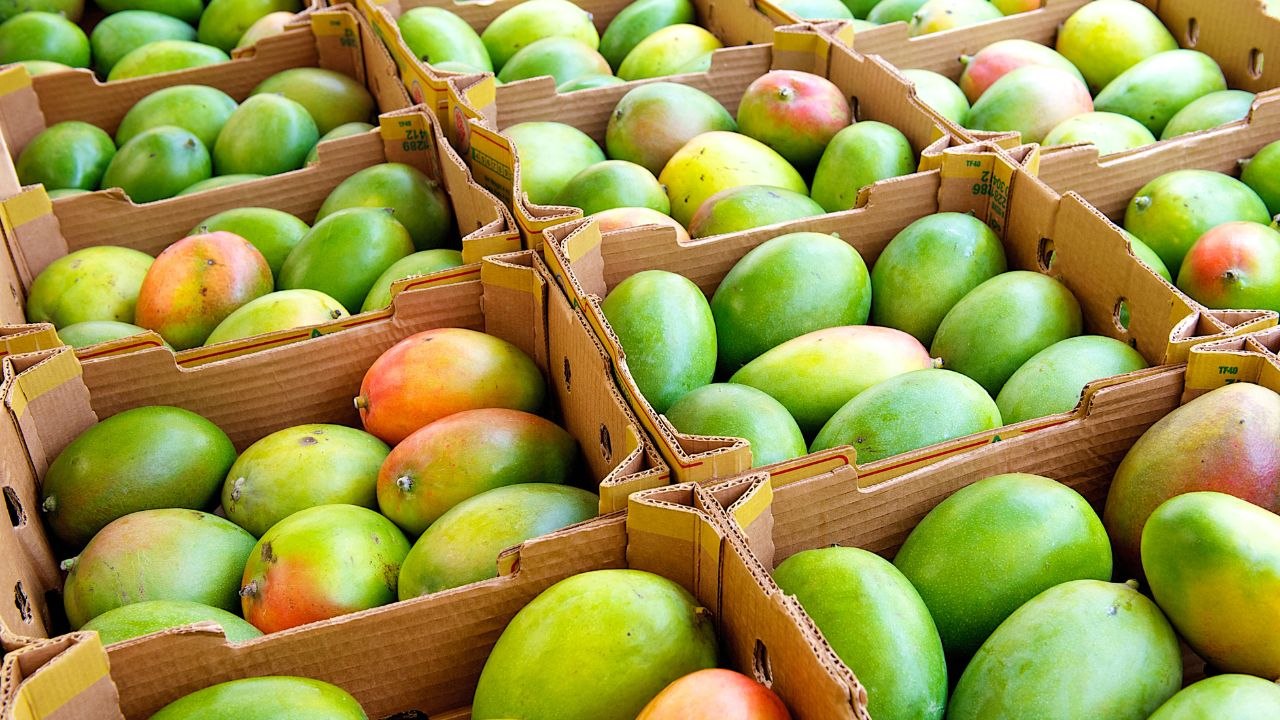 इस साल आम बना कुछ 'खास'. जानें कीमतों में क्यों आई ये तेजी?