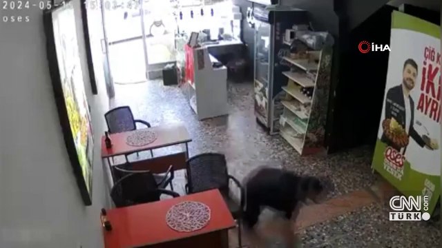 Sesi duyunca yanlış anladı: Emekleyerek kaçmaya çalıştı