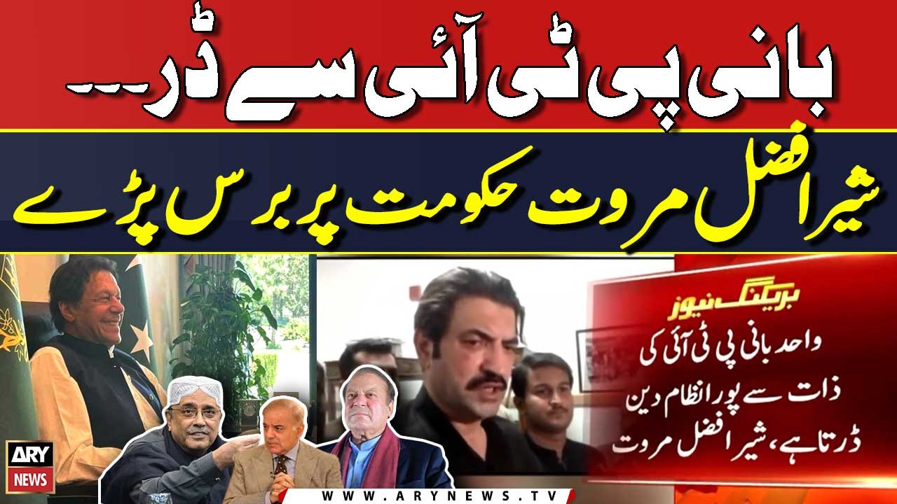 "Tariq Cheema hamlawar howy aur galiyan din...", Sher Afzal Marwat in Action