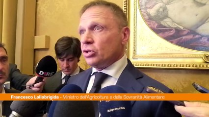 Dl Agricoltura, Lollobrigida "Emendamento sulla siccità in Sicilia"