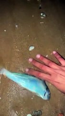 Trying to save a life