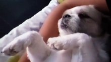 Spoiled ‍