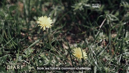 UN climate change high-level champion for COP29, Nigar Arpadarai, sets scene ahead of vital summit