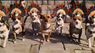 Le Chihuahua de Beverly Hills Bande-annonce (IT)