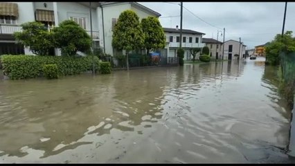 Alluvione in Veneto, danni a coltivazioni. Zaia: "Sono bombe d'acqua"