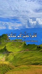 القران الكريم صوت جميل جدا