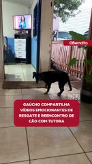 Gaúcho emociona ao compartilhar vídeos do resgate e reencontro de cão com tutora
