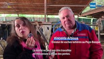En Espagne : 200 vaches laitières sur 50 ha de SAU