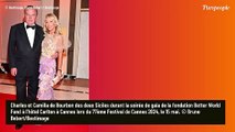 PHOTOS Joyce Jonathan éblouissante à Cannes, des paillettes jusque dans les yeux, Juliette Binoche opte pour le blanc immaculé