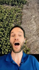 4 MILLIARDS d’arbres en quelques MOIS ! 