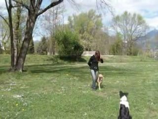 Marche au pied ulina