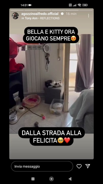 bella e Kitty ora giocano sempre