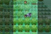 Pokemon Quetzal Multiplayer online multiplayer - gba