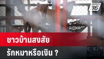 สถานสงเคราะห์สุนัขเหม็นคลุ้ง ชาวบ้านสงสัยรักหมาหรือเงิน ? | เข้มข่าวใหญ่ | 16 พ.ค. 67