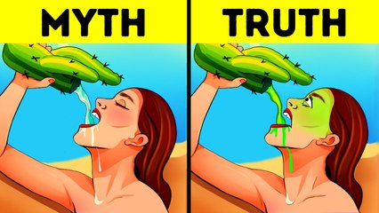 School Myths Busted: Surprising Facts That Have Changed Over Time 🌵