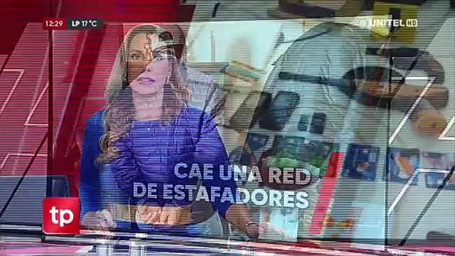 ¿Cómo operaba y qué ofrecía la red de estafas cibernéticas?