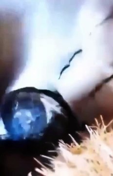 Scomparso a 17 anni, Omar è stato ritrovato 27 anni dopo