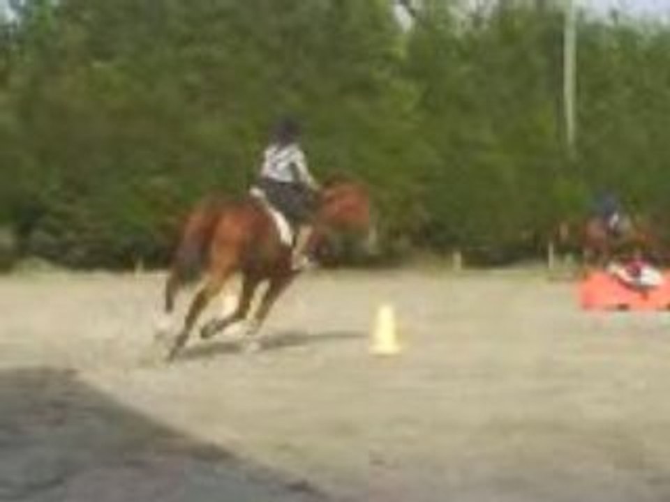 beau saut de amadeous