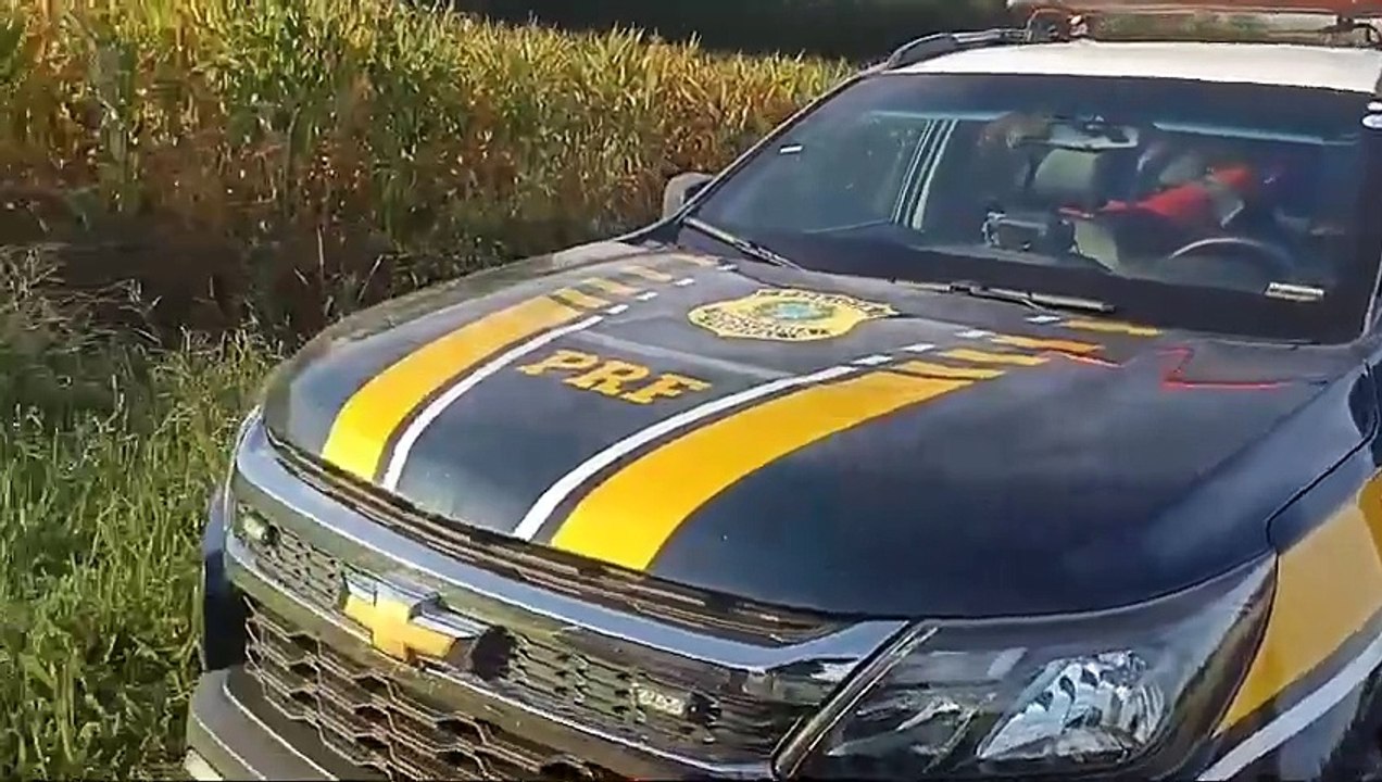 Mulher, moradora de Toledo, é presa pela PRF levando 300 kg de maconha para São Paulo