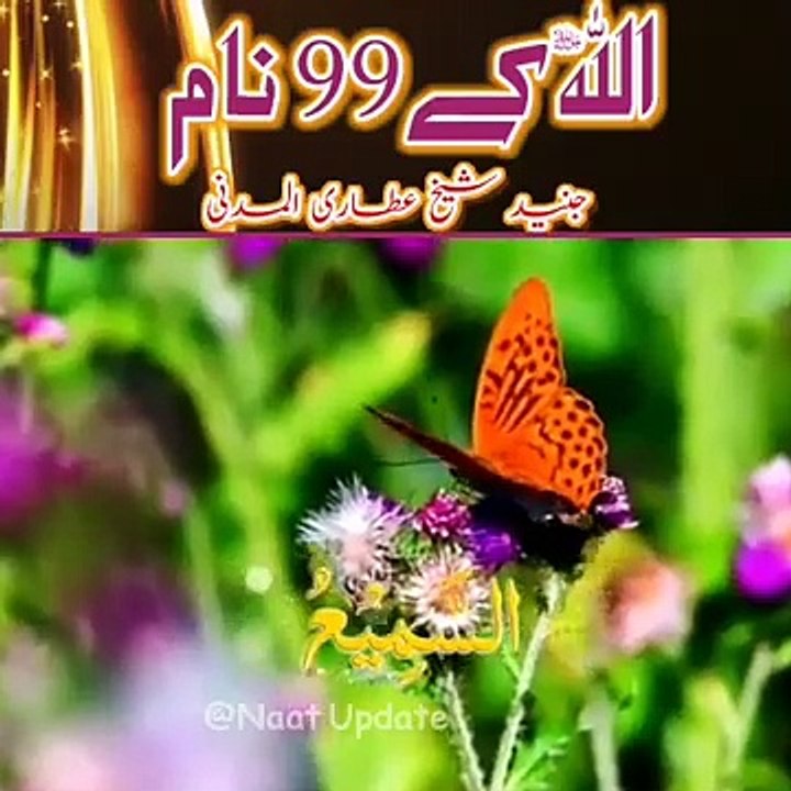 اسلامی ویڈیو