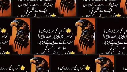 1 Qatra Jisam Par Nahany Ky Bad Lagao (Apply oil on one spot) - Love Quotes in Urdu