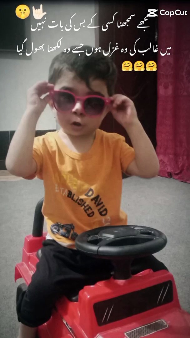 Funny video comedy videos