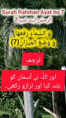 Surah Rahman Ayat no 7 | سورت رحمٰن آیت نمبر 7