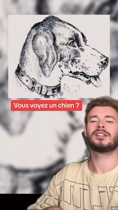 Petit jeu pour vous Dailymotion (Exclu Dailymotion)